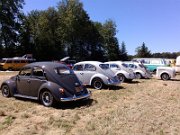 Beetle Show Rioz (19)